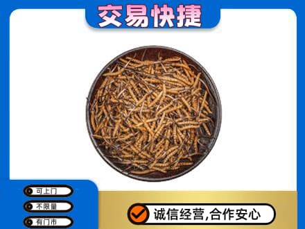 攀枝花高价回收散虫草